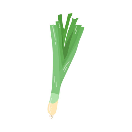 Vitamin A-enriched green onion cartoon illustration. Organic green onion. Healthcare, nutrition conceptのイラスト素材