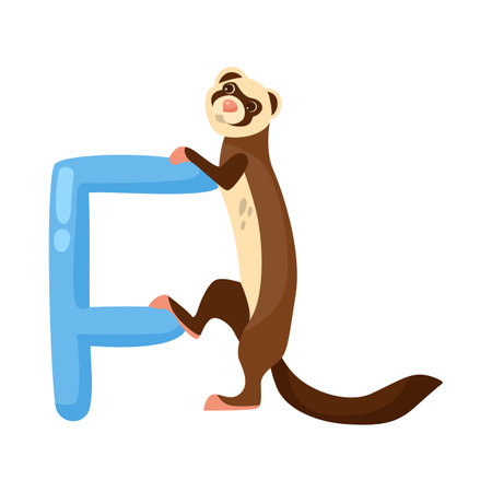 Ferret character with alphabet letter f vector illustration. Cute comic animal with ABC for preschool children book isolated on white background. Education conceptのイラスト素材