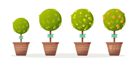 Topiary bushes or trees in flowerpots vector illustrations set. Drawings of green potted plants with blue bows or ribbons on trunks isolated on white background. Decoration, nature, gardening conceptのイラスト素材