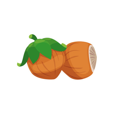 Hazelnut sticker. Vector illustration of cute fall item. Cartoon hazelnut isolated on white background. Autumn decor conceptのイラスト素材