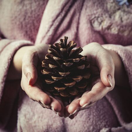 The girl is holding a fir cone.の写真素材