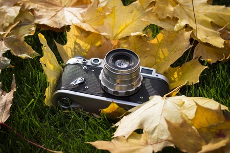 Retro camera on the lawn with yellow autumn leaves. Concept of beginning of the autumn and the beginning of the fall of leaves.の写真素材