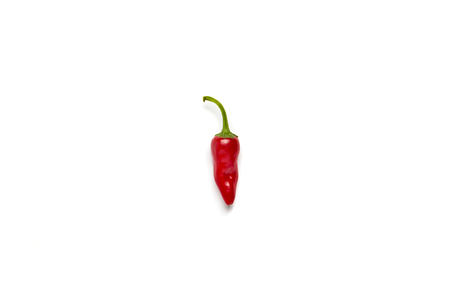 One red hot chili pepper on a white background. Flat lay, top view.の写真素材