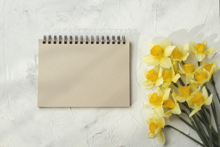 Yellow daffodils and notebook on a white stone background.の写真素材