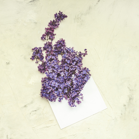 White envelope and lilac on white stone background. Flat lay, top view.の写真素材