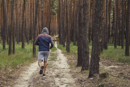 Man in a hoodie running in a pine forest. Concept of training in outdoor.