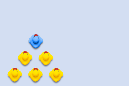 Blue toy duckling in the head with a group of yellow ducklings on a blue background. Leadership concept, business team leader. Flat lay, top viewの写真素材