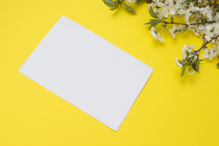 White sheet of paper and Cherry twig with flowers on a yellow background.の写真素材