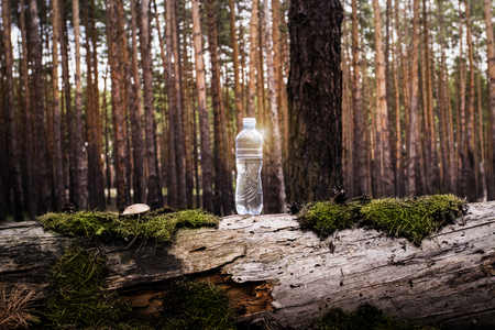 Plastic water bottle stands on a felled log with moss and mushrooms on Forest. Concept of natural clean water. Added highlight effect.の写真素材