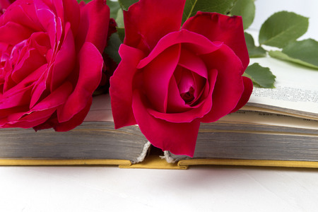 Red roses on an open book on a light stone background. The concept of romantic literature. Flat lay, top view.の写真素材