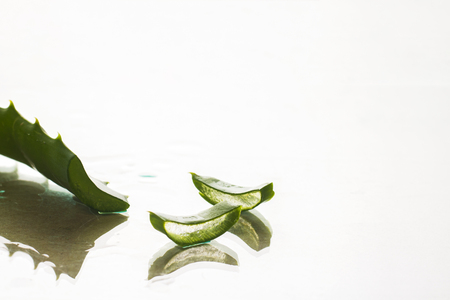 Aloe leaf on a light background. Concept fresh skin, wrinkle smoothingの写真素材