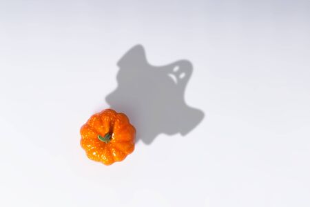 Decorative pumpkin on a white background. Halloween concept, harvest, autumn. Flat lay, top view.の写真素材