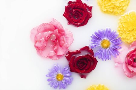 Beautiful flowers in a milk bath. Concept of spa treatments, relaxation, spa treatments, therapy.