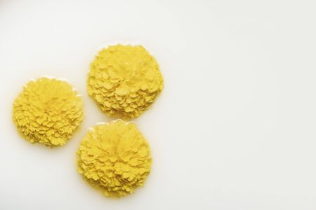 Yellow flowers in a spa bath with milk. The concept of skin and health care, spa treatments, relaxation.の写真素材