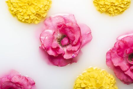 Beautiful flowers in a milk bath. Concept of spa treatments, relaxation, spa treatments, therapy.の写真素材