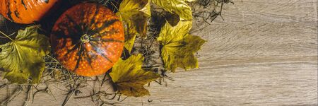 Pumpkins on a wooden background. Harvest concept, autumn, Halloween eve. Banner. Flat lay, top view.
