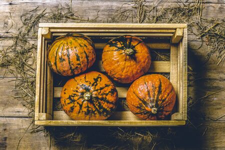 Ripe pumpkins in a wooden box on a wooden background. Harvest concept, autumn, halloween eve. Banner. Flat lay, top view.の写真素材