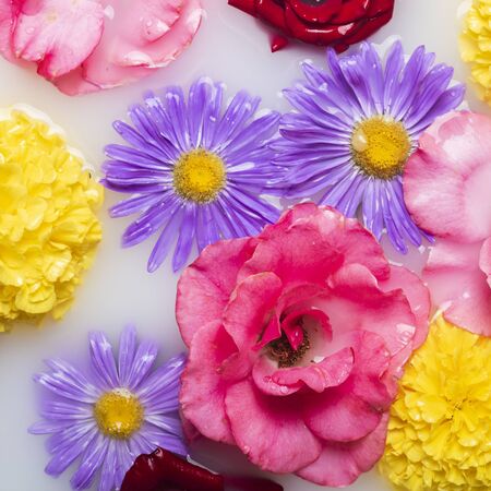 Beautiful flowers in a milk bath. Concept of spa treatments, relaxation, spa treatments, therapy.の写真素材