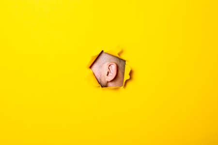 Male ear peeking out of the torn hole yellow background. Perception of sounds.の写真素材