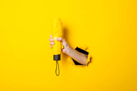 Female hand holds a yellow umbrella on a yellow background. Rain concept.の写真素材