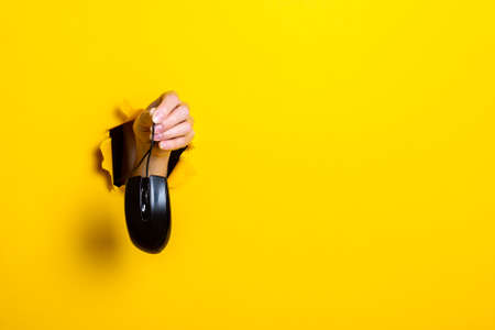 Female hand holding a black computer mouse on a bright yellow background.
