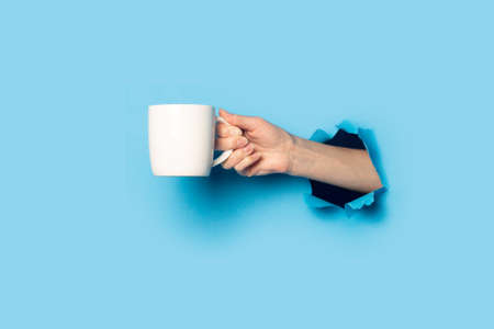 Female hand holding a white cup on a bright blue background.の写真素材