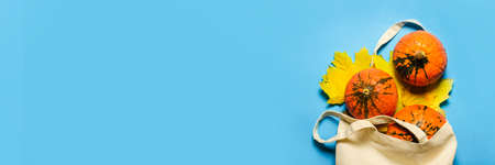 Ripe Pumpkins in a shopping bag and yellow autumn leaves on a blue background. Harvest concept, Thanksgiving day, cook food, autumn. Banner. Flat lay, top view.の写真素材