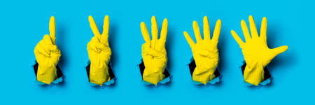 Hands in yellow gloves show one, two, three, four, five fingers on a blue background. Bannerの写真素材