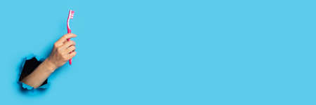 Female hand holding a toothbrush on a bright blue background. Bannerの写真素材