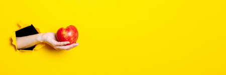 Hand holds red apple on yellow background.の写真素材