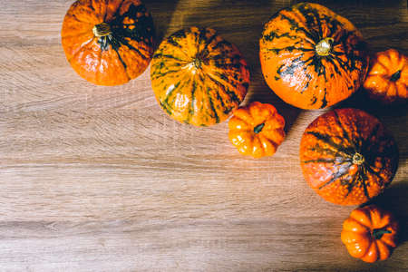 Ripe pumpkins on a wooden background. Harvest concept, autumn, halloween eve. Banner. Flat lay, top view.の写真素材