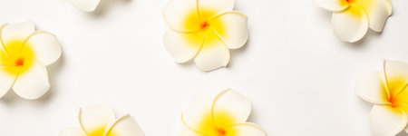 White tropical flowers on a light background. Pattern. Composition Valentine's Day. Banner. Flat lay, top view.の写真素材