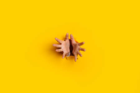 Two female hands are extended from a hole in the wall on a yellow background. Banner.の写真素材