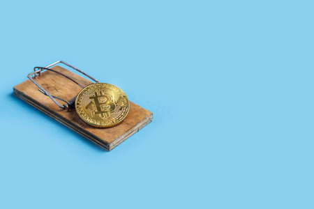 bintcoin coin in a mousetrap on a blue background. Top view, flat lay.