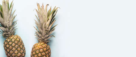 two whole ripe pineapple and the shadow of palm leaves on a light background. Top view, flat lay. Banner.の写真素材