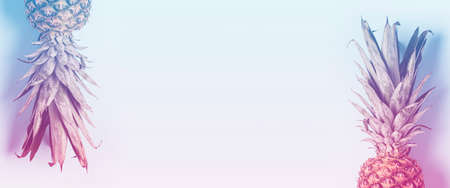 two whole pineapple on a light background. Added color gradient. Top view, flat lay. Banner.の写真素材