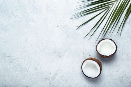 Green leaf of palm tree and chopped coconut on a concrete background. Top view, flat lay.の写真素材