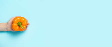 A female hand in the palm holds an orange pepper on a blue background. Top view, flat lay. Banner.の写真素材