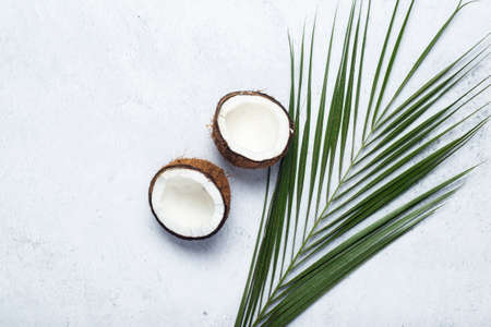 Green leaf of palm tree and chopped coconut on a concrete background. Top view, flat lay.
