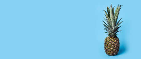 Vertical picture of fresh ripe pineapple on a blue background. Banner.