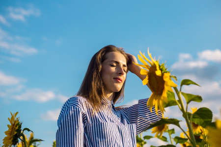 Young woman in dress and glasses at sunset on a sunflower field.の写真素材
