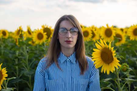 Young woman in dress and glasses on a sunflower field at sunset.の写真素材
