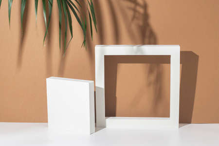 White presentation podiums geometric shapes under palm leaves on a brown background. Top view, flat lay.の写真素材