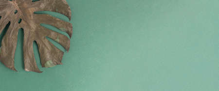 Dry tropical monstera leaf on dark turquoise background. Top view, flat lay. Banner.