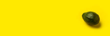 fresh ripe dark green whole avocado on a bright yellow background. Top view, flat lay. Banner.
