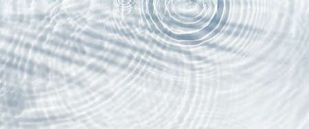 Shadow of palm leaf on transparent water and drops of water falling. Top view, flat lay. Banner.
