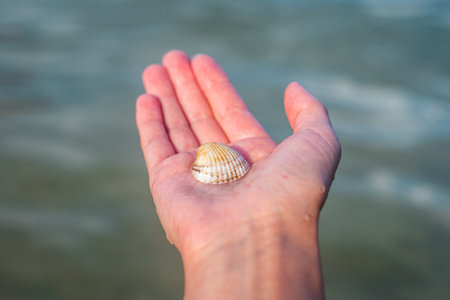 Seashell in a female palm against the background of the sea.の写真素材
