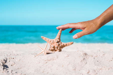Female hand is touching starfish on a sandy beach. Tropical nature.の写真素材