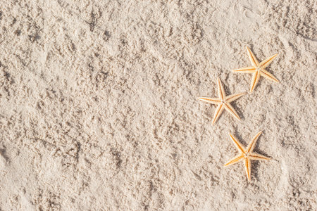 Three starfish on the sand. Top view, flat lay.の写真素材