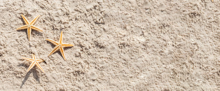 Golden starfish on the sand. Top view, flat lay. Banner.